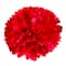 Red Paper Pom Poms By Celebrate It™